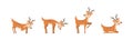 Set of deer. Royalty Free Stock Photo